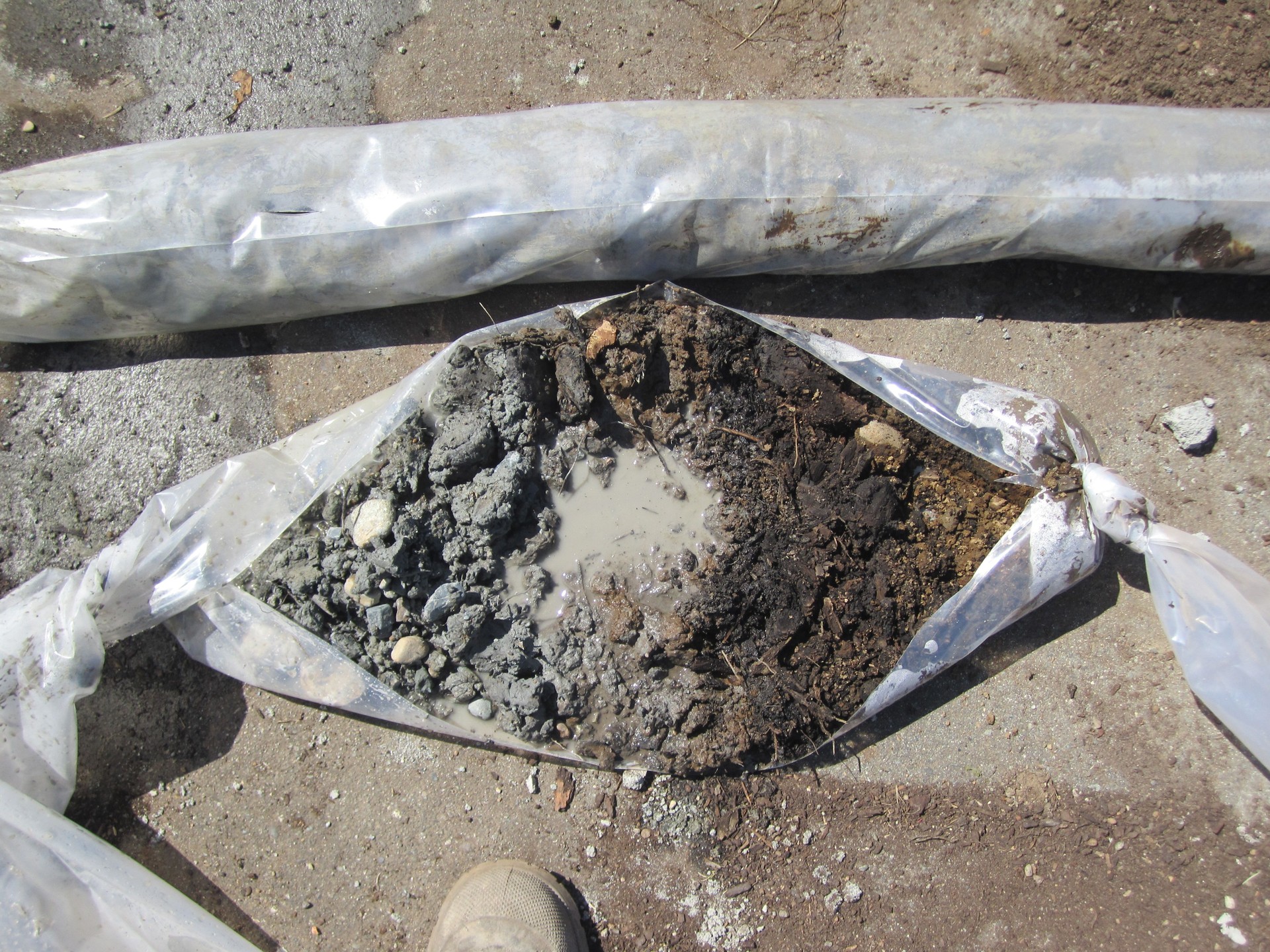 Inspection of sleeved soil samples